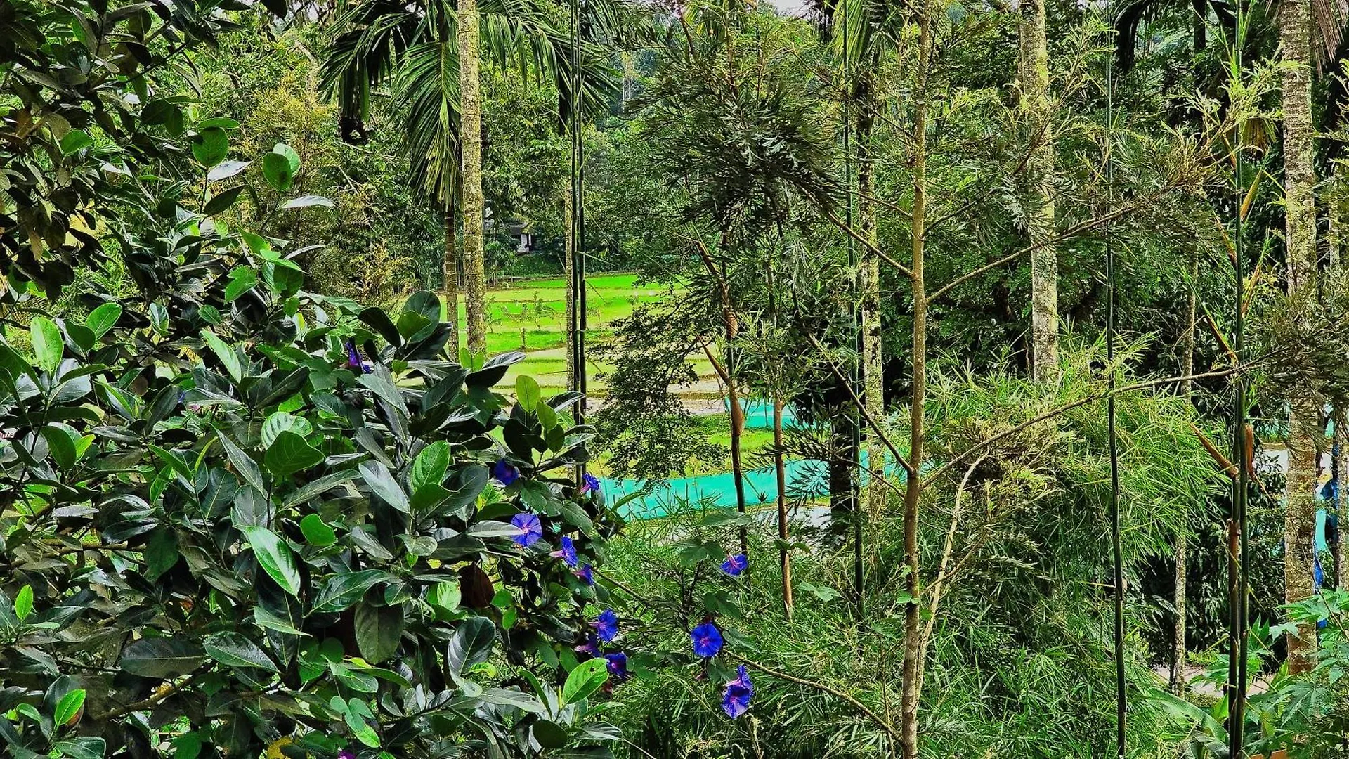 Hotel Bob Green Aura Sultan Bathery