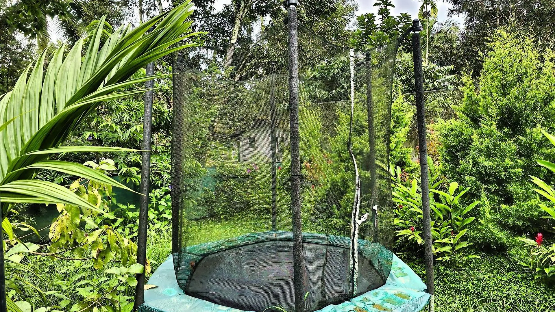 Hotel Bob Green Aura Sultan Bathery India